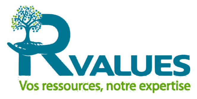 R-Values Consulting